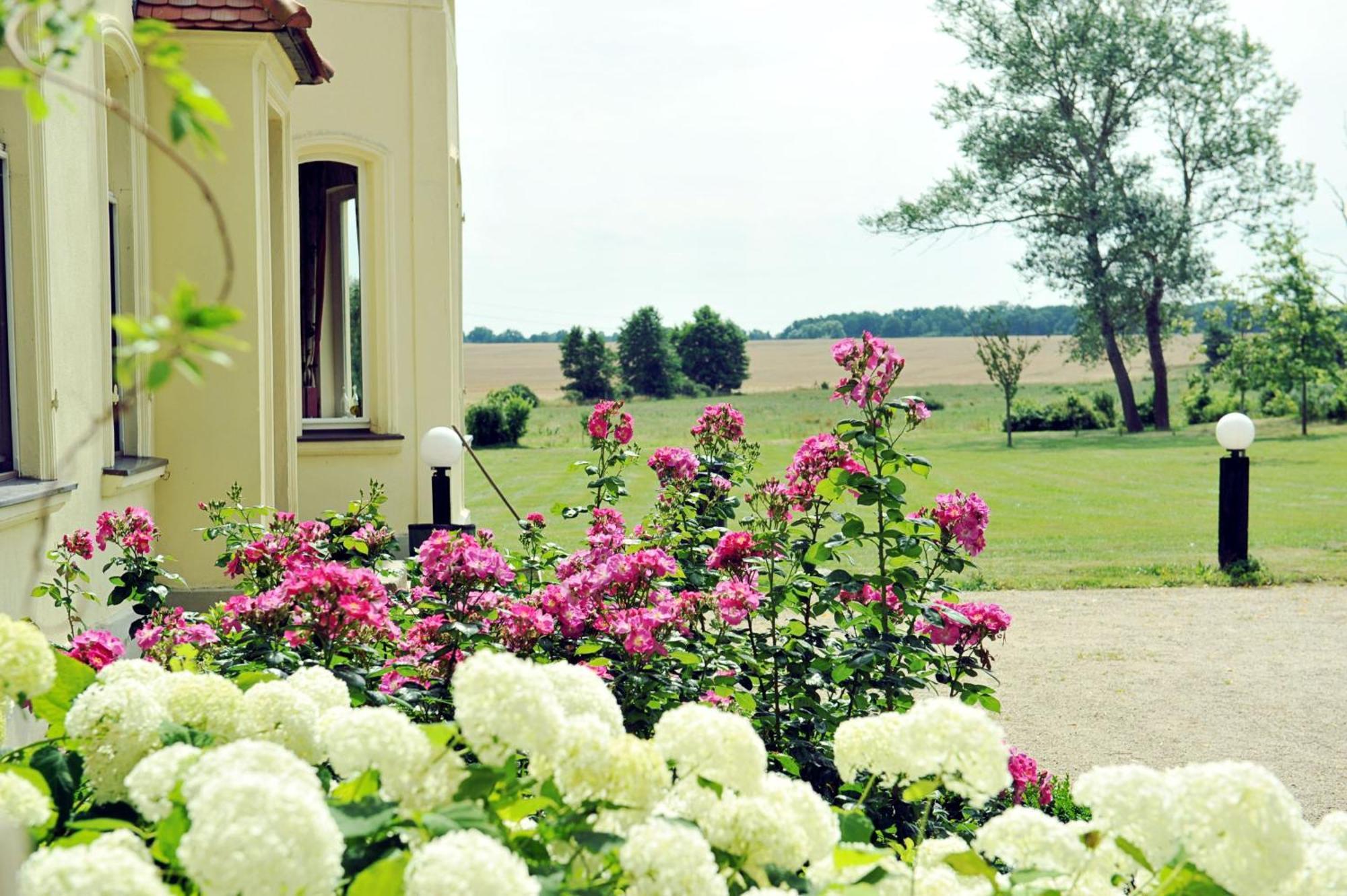 Gutshaus Penzlin Villa Meyenburg  Exterior foto